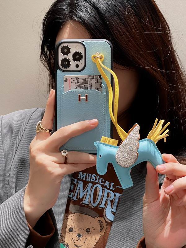 Hermes iphone 6-15pro max (8)