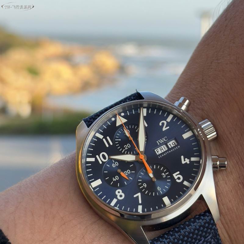 IWC 43mm 30 (15)