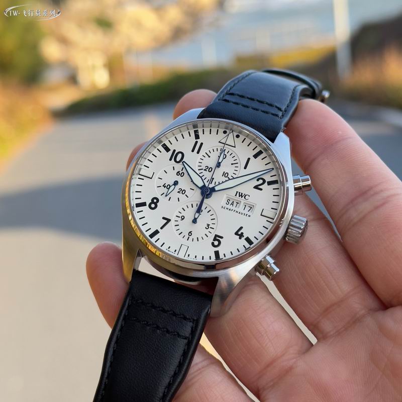 IWC 43mm 33 (28)