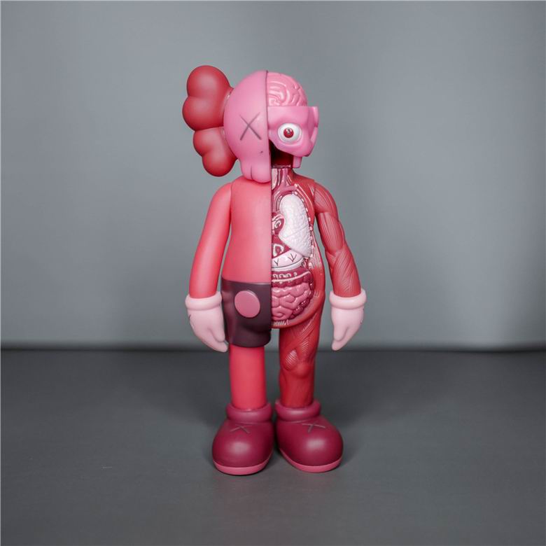 Kaws 20cm   (5)