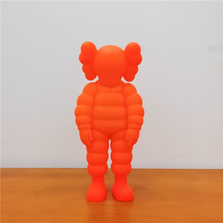 Kaws 28cm   (9)