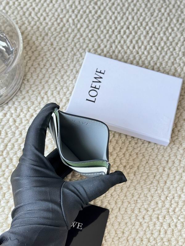 Loewe Card bag  (18)