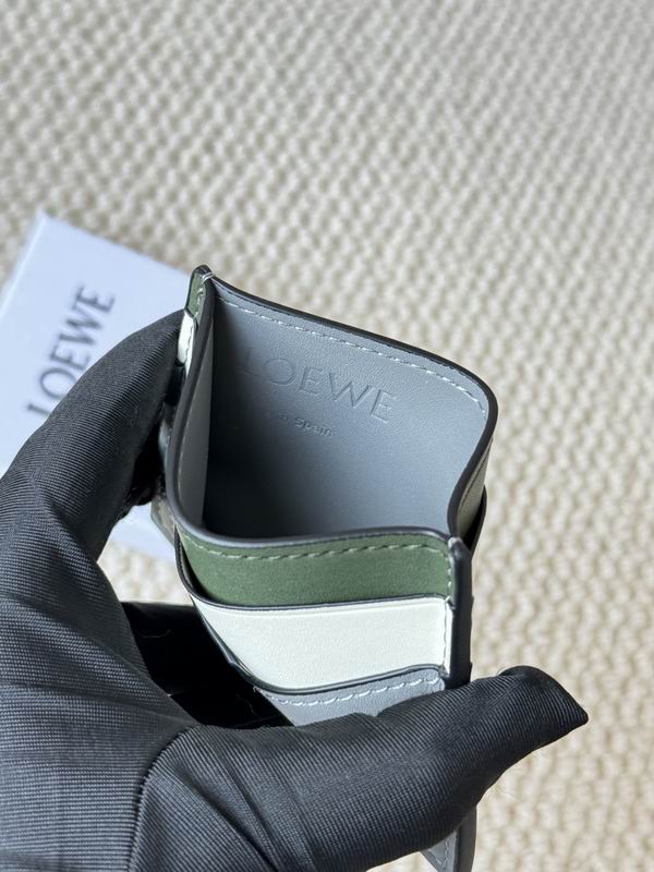 Loewe Card bag  (19)