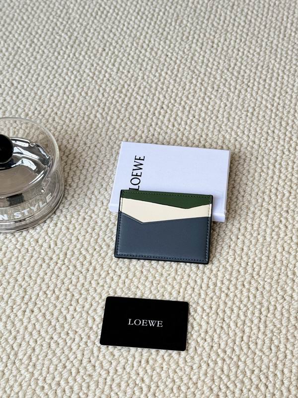 Loewe Card bag  (21)