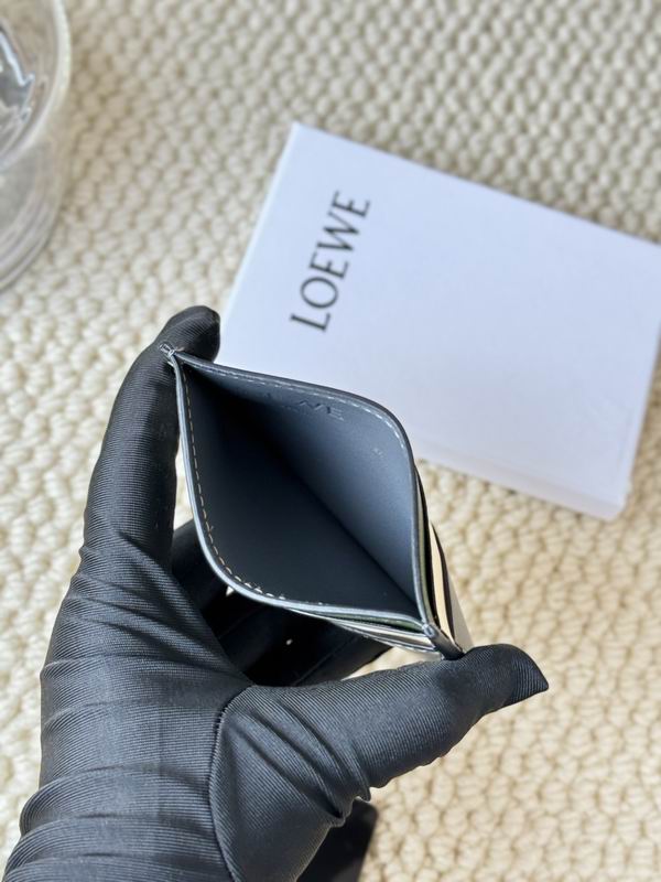 Loewe Card bag  (24)