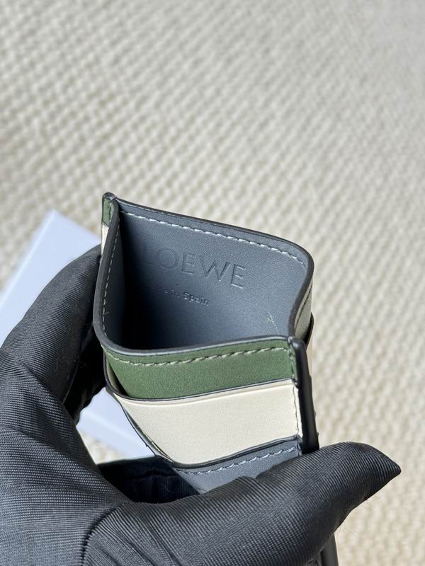 Loewe Card bag  (25)