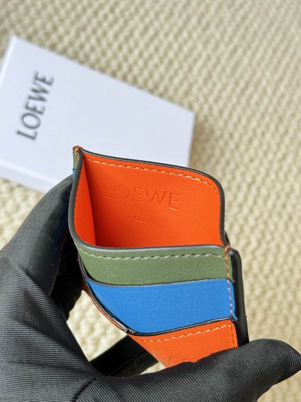 Loewe Card bag  (31)