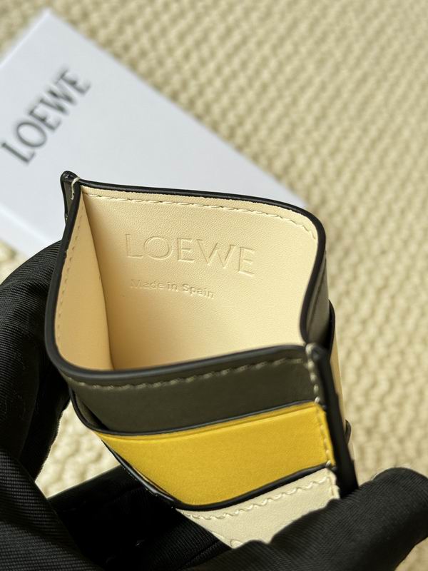 Loewe Card bag  (37)