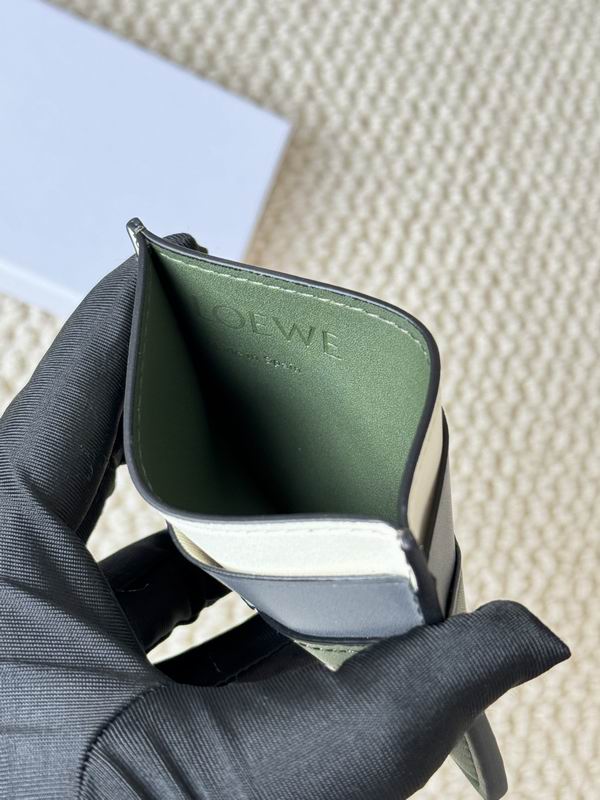 Loewe Card bag  (43)