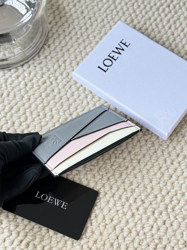 Loewe Card bag  (46)