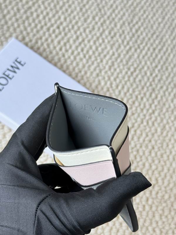 Loewe Card bag  (48)