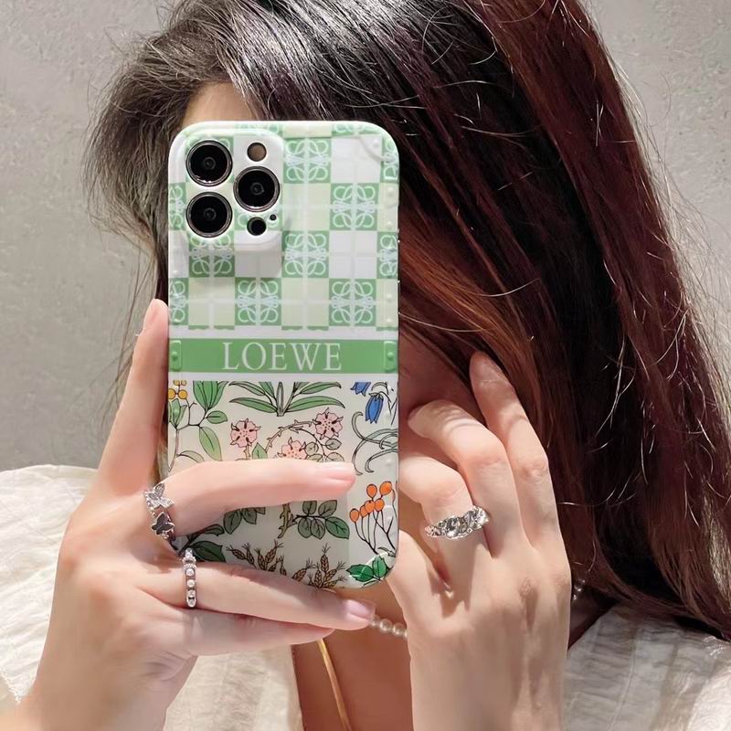 Loewe iphone X-14pro max  (2)