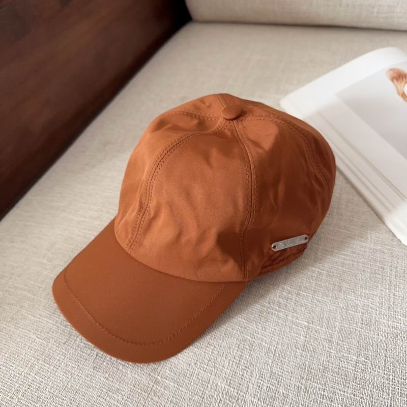 Loro Piana cap dx (70)