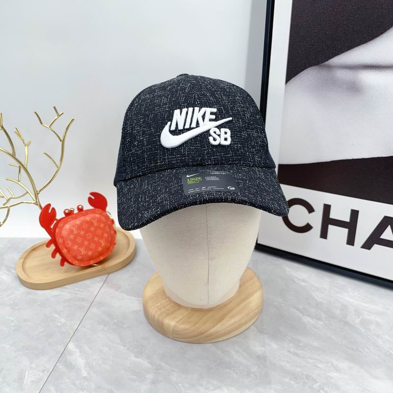 Nike cap dx (18)