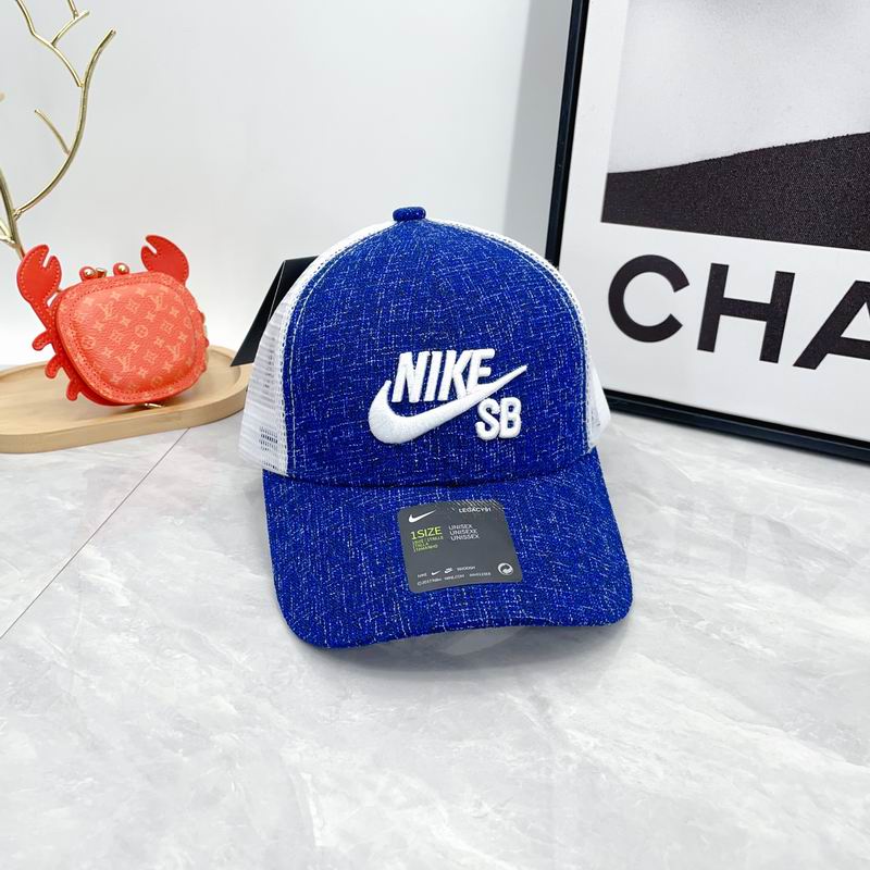 Nike cap dx (5)