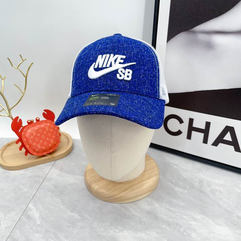 Nike cap dx (9)
