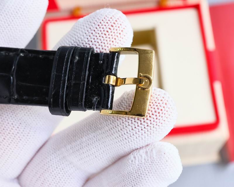 Omega 40mm 06-Seamater (13)