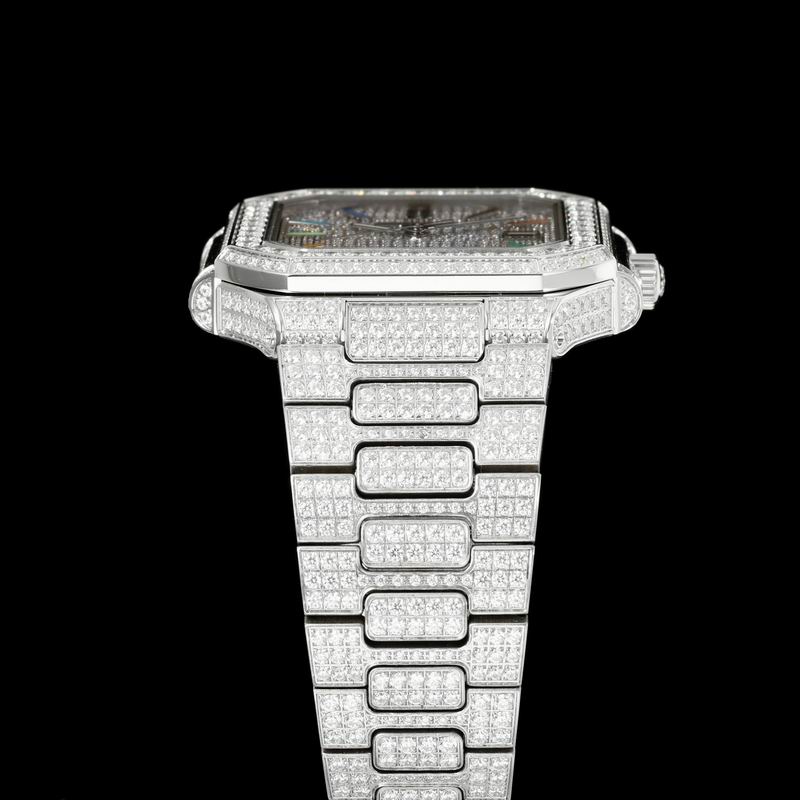 Patek Philippe watch 01 (68)