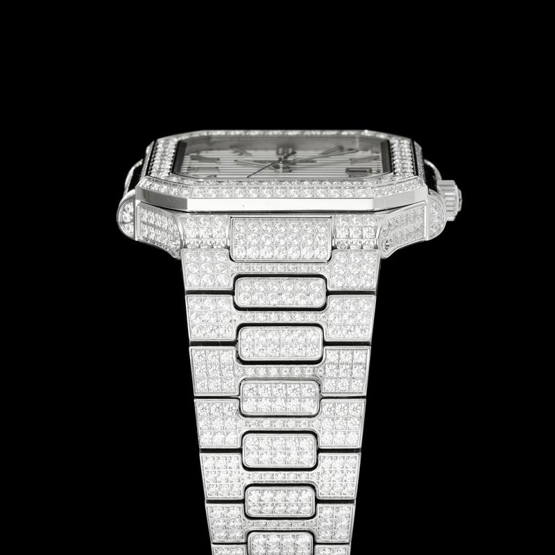 Patek Philippe watch 01 (77)