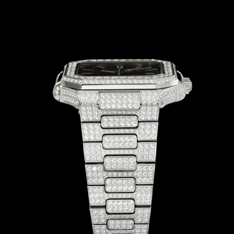 Patek Philippe watch 01 (95)