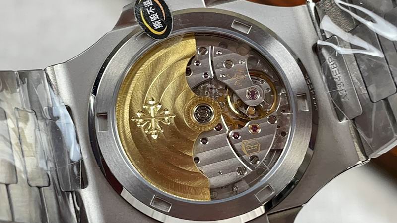 Patek Philippe watch 77 (3)