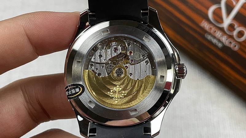 Patek Philippe watch 78 (3)