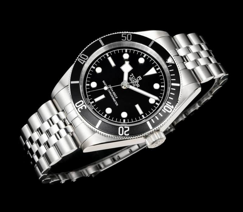 Tudor 41mm 13 (17)