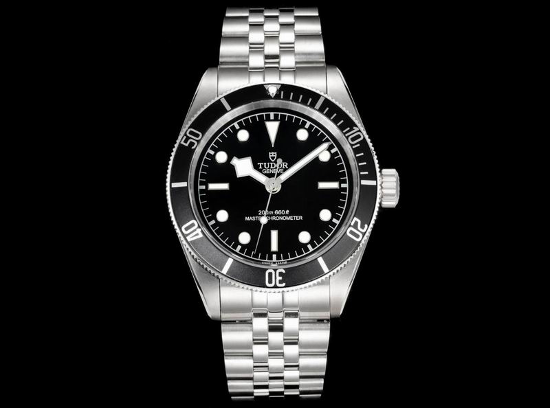 Tudor 41mm 13 (18)