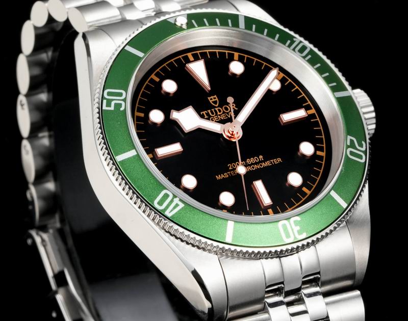 Tudor 41mm 13 (25)