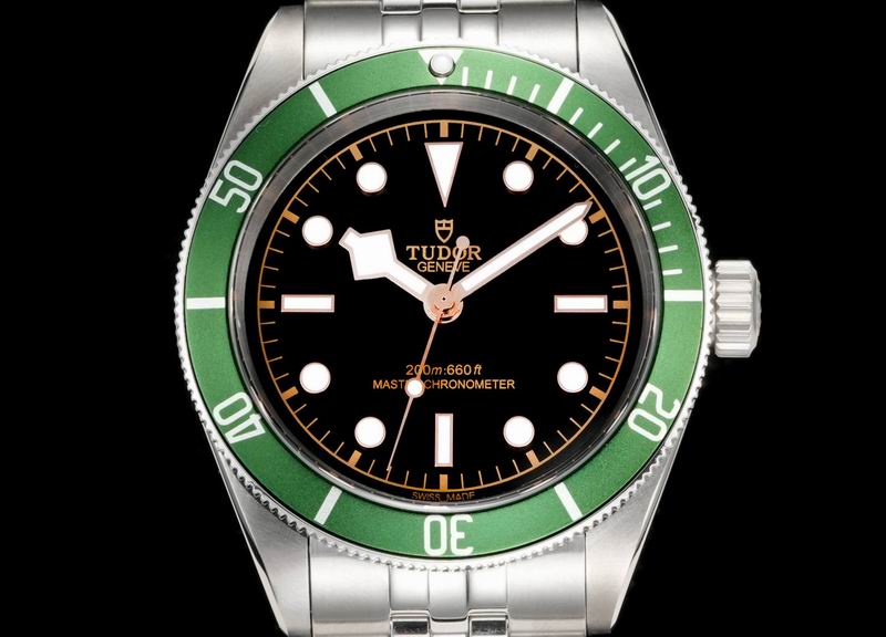 Tudor 41mm 13 (26)