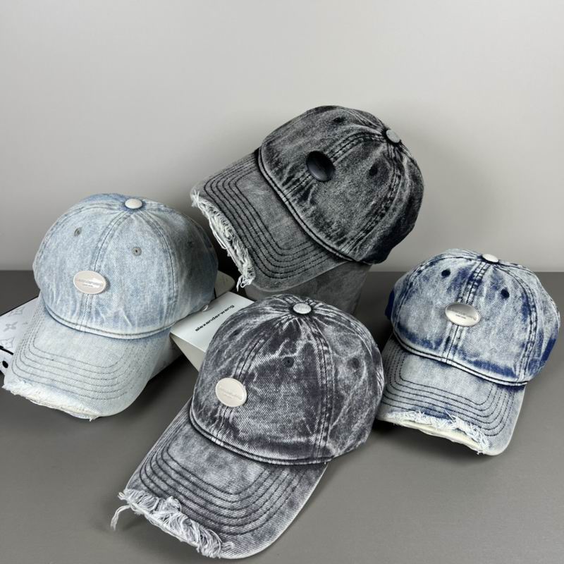 Alexander Wang cap dx (1)