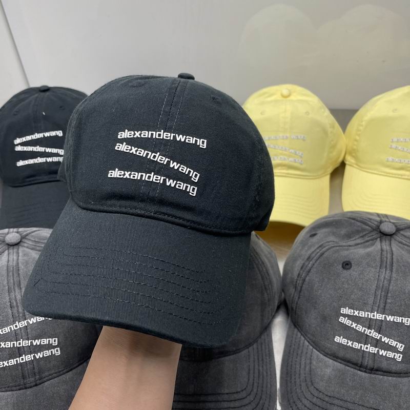 Alexander Wang cap dx (1)