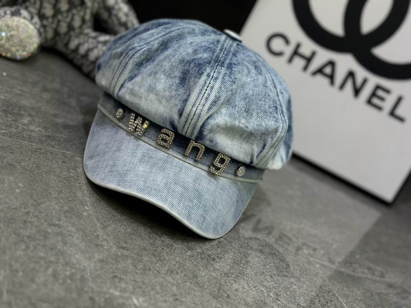 Alexander Wang cap dx (14)