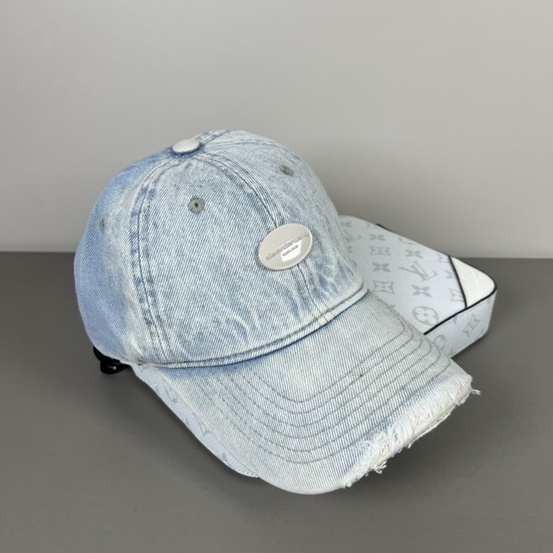 Alexander Wang cap dx (15)