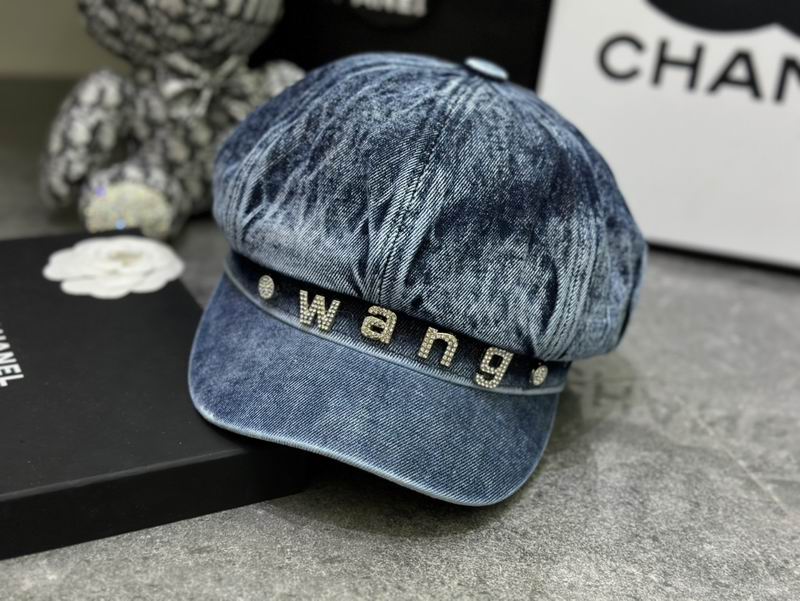 Alexander Wang cap dx (20)