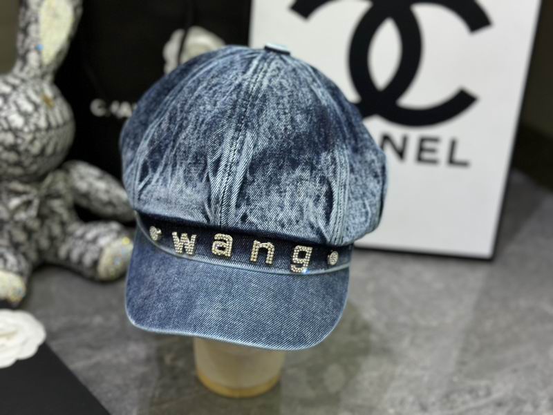 Alexander Wang cap dx (24)