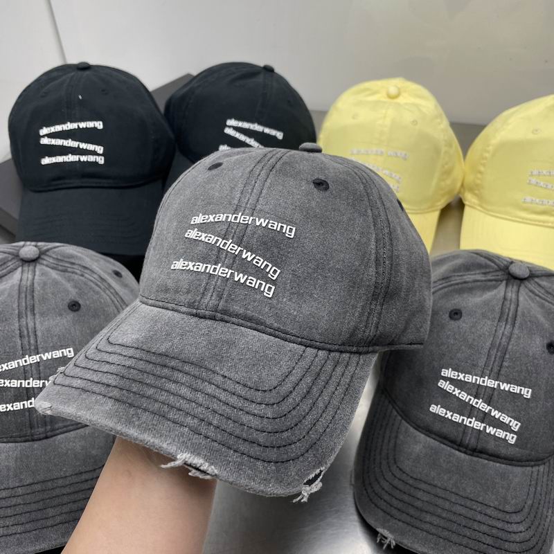 Alexander Wang cap dx (3)