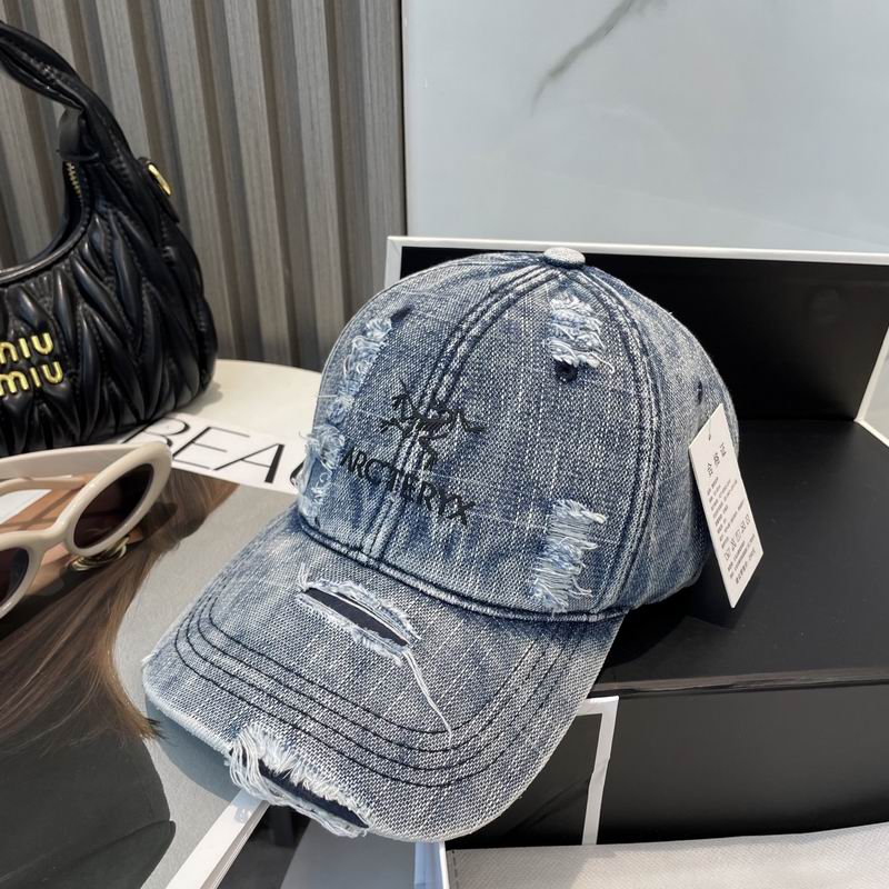 Arcteryx cap dx (11)