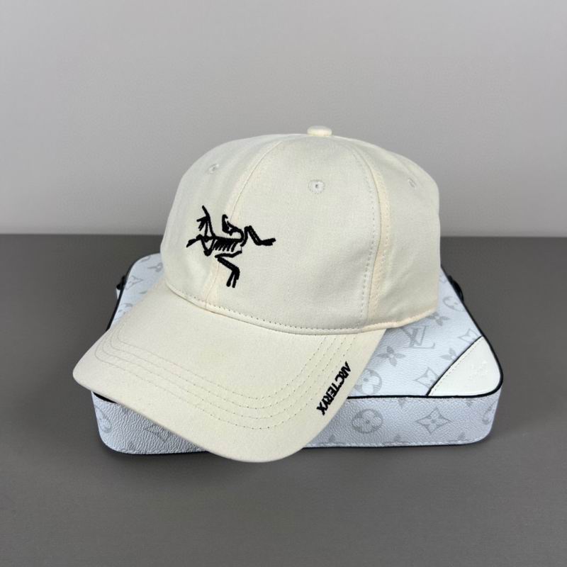 Arcteryx cap dx (33)