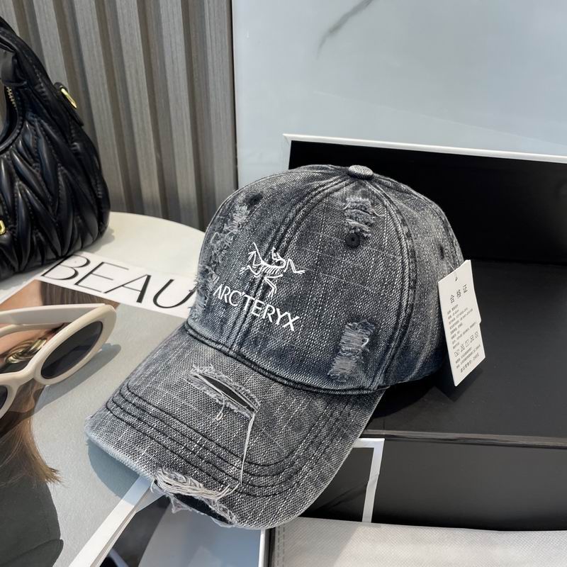 Arcteryx cap dx (38)