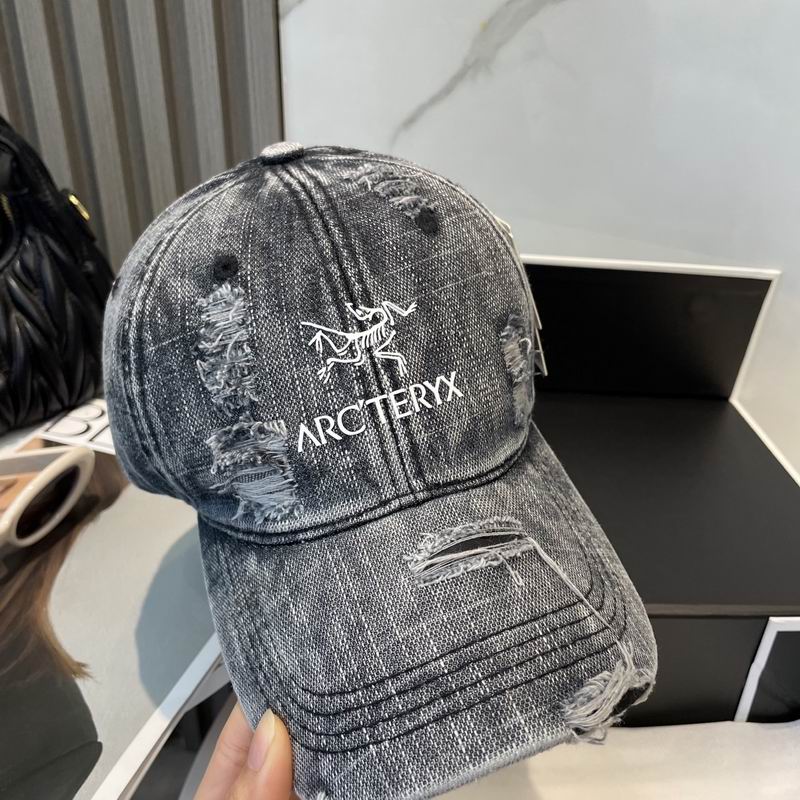 Arcteryx cap dx (39)