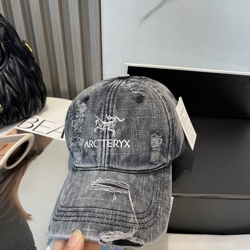 Arcteryx cap dx (44)