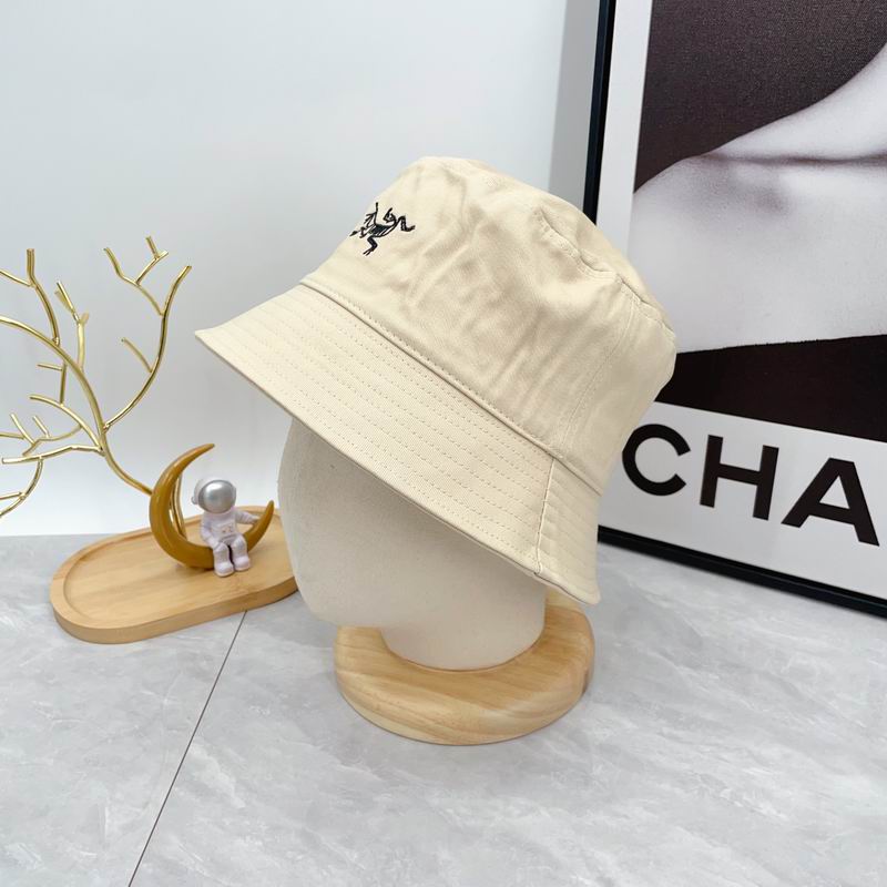 Arcteryx hat dx (16)