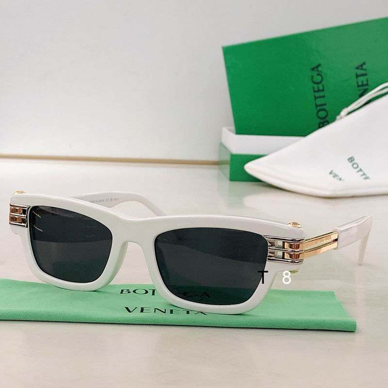 BV 1308S 50 19-145 H01