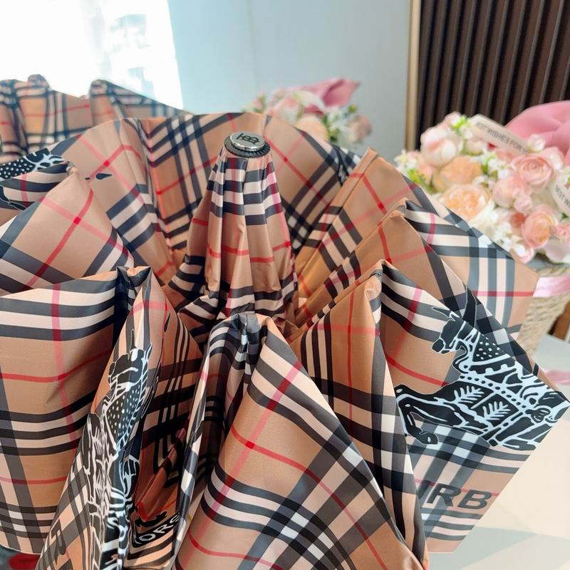 Burberry Umbrella (167)