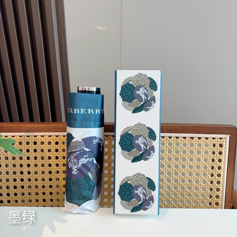 Burberry Umbrella (173)