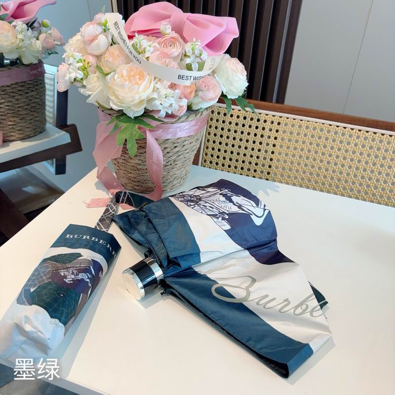 Burberry Umbrella (177)