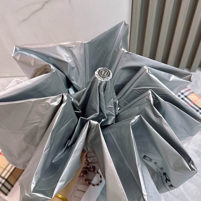 Burberry Umbrella (24)