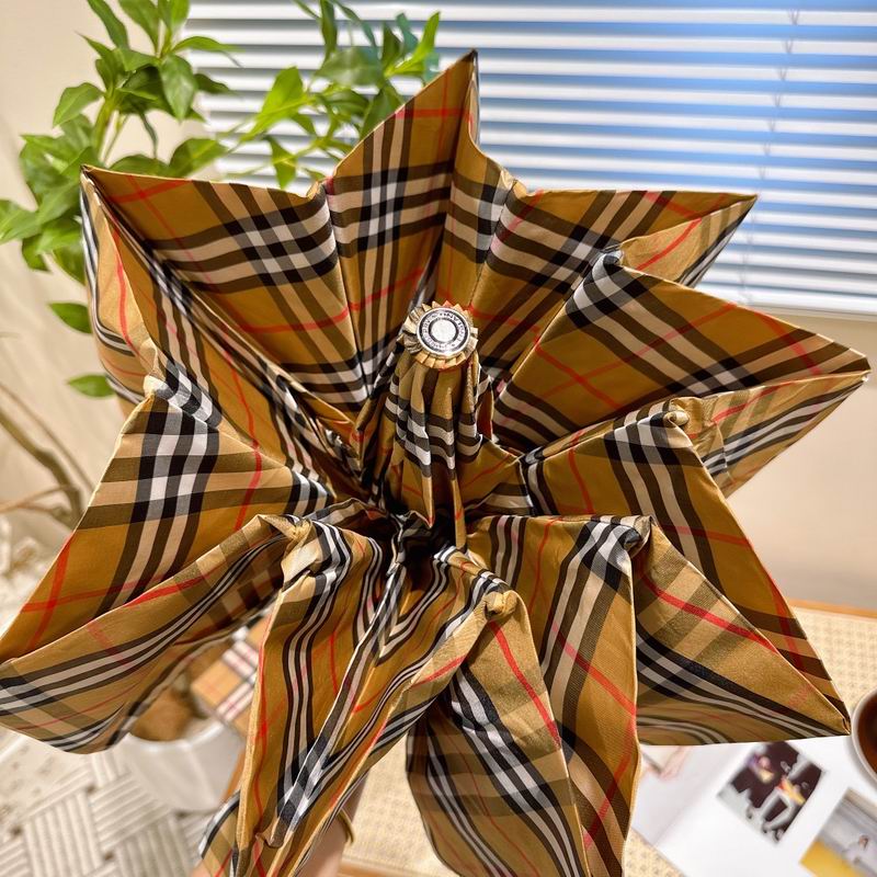 Burberry Umbrella (32)