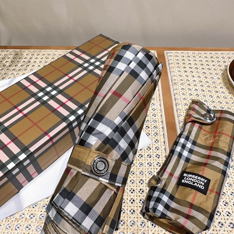 Burberry Umbrella (33)